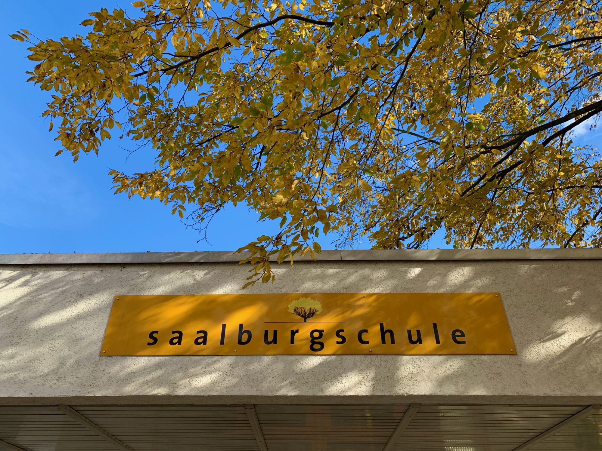 Saalburgschule Bad Vilbel